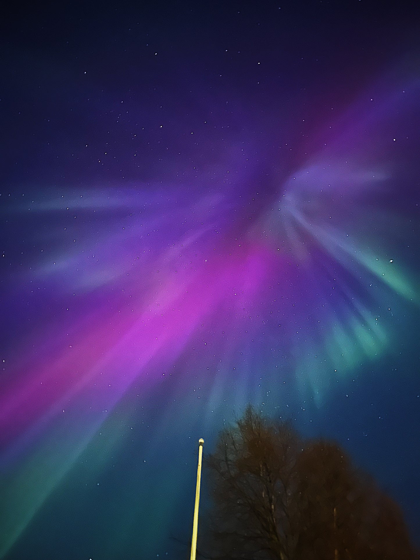 Aurora borealis displaying vibrant purple and green lights against a dark sky.