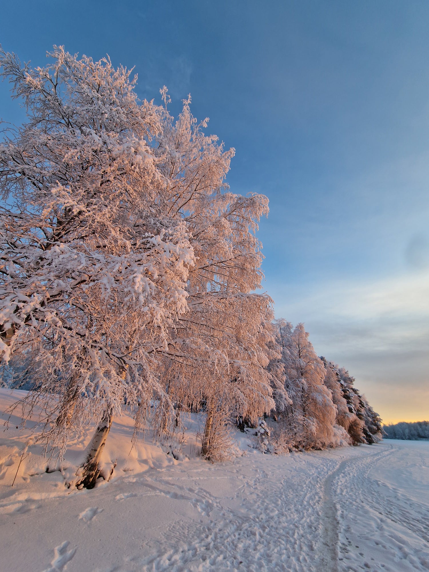 Spring snow view in Rovaniemi Lapland