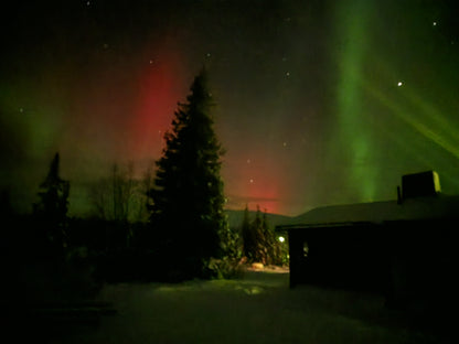 Aurora Hunting