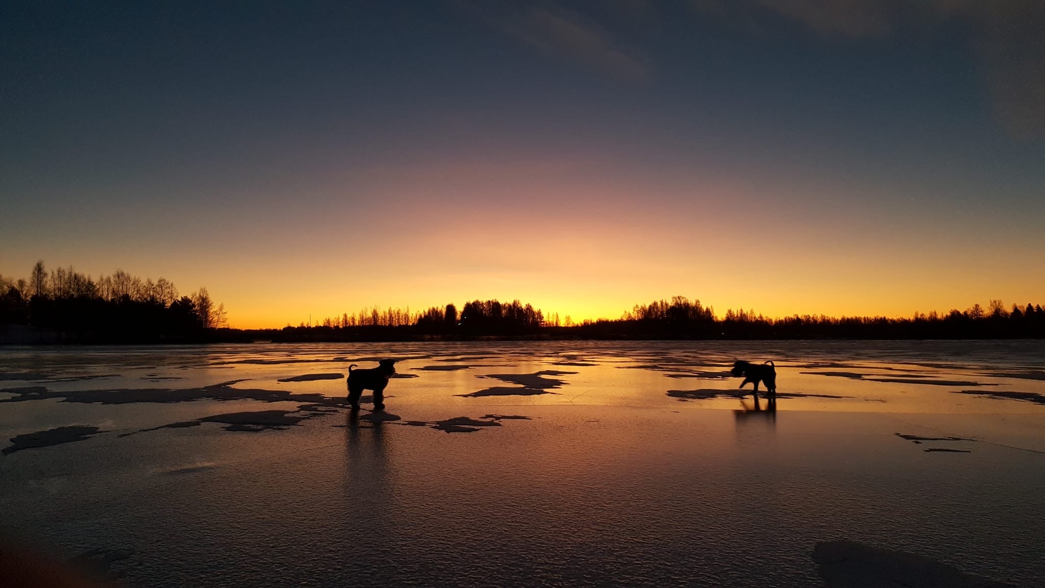 Winter sunset in Rovaniemi Lapland