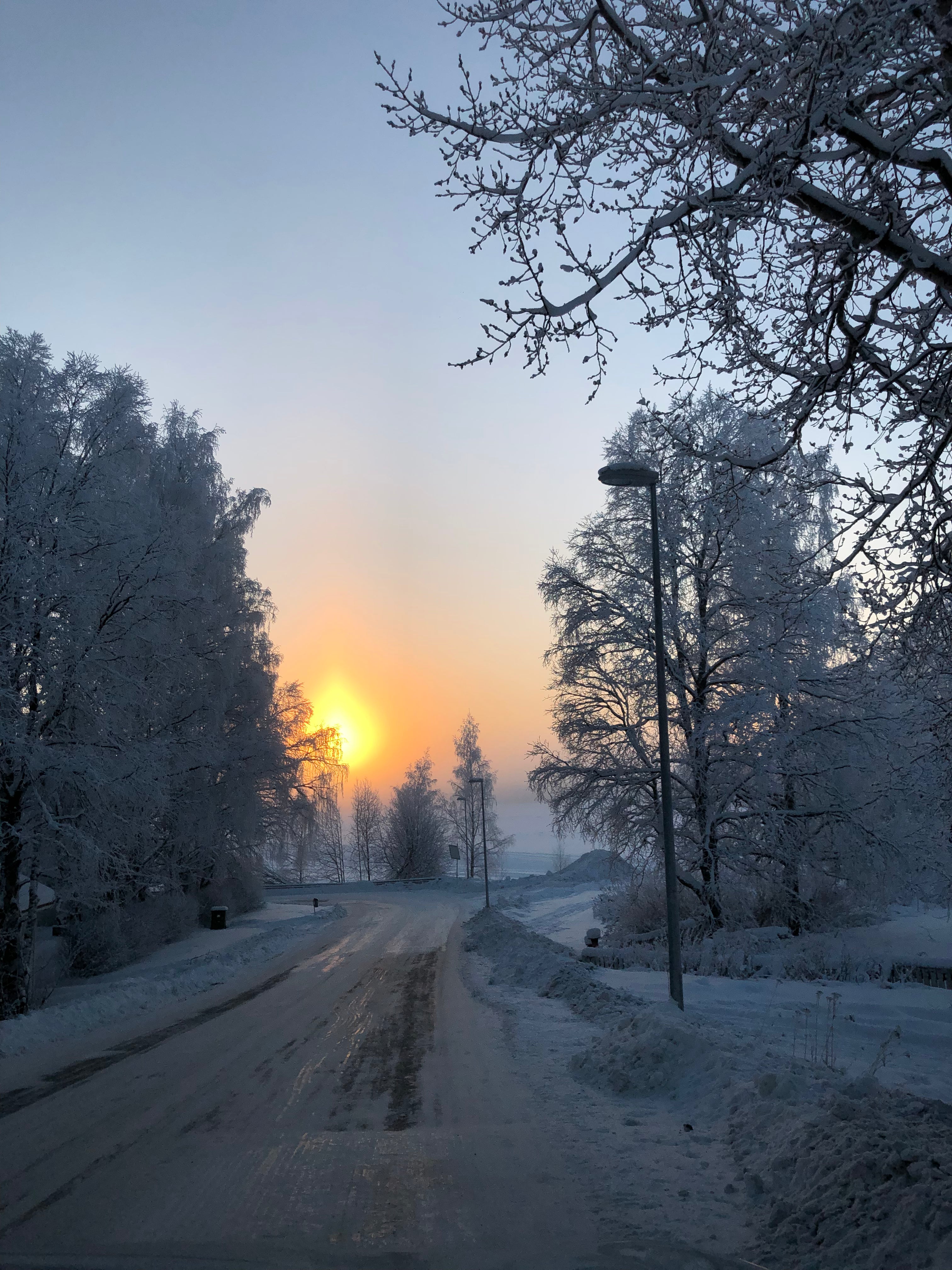 Snowy road with trees and a sunset or sunrise in the background in Rovaniemi Lapland