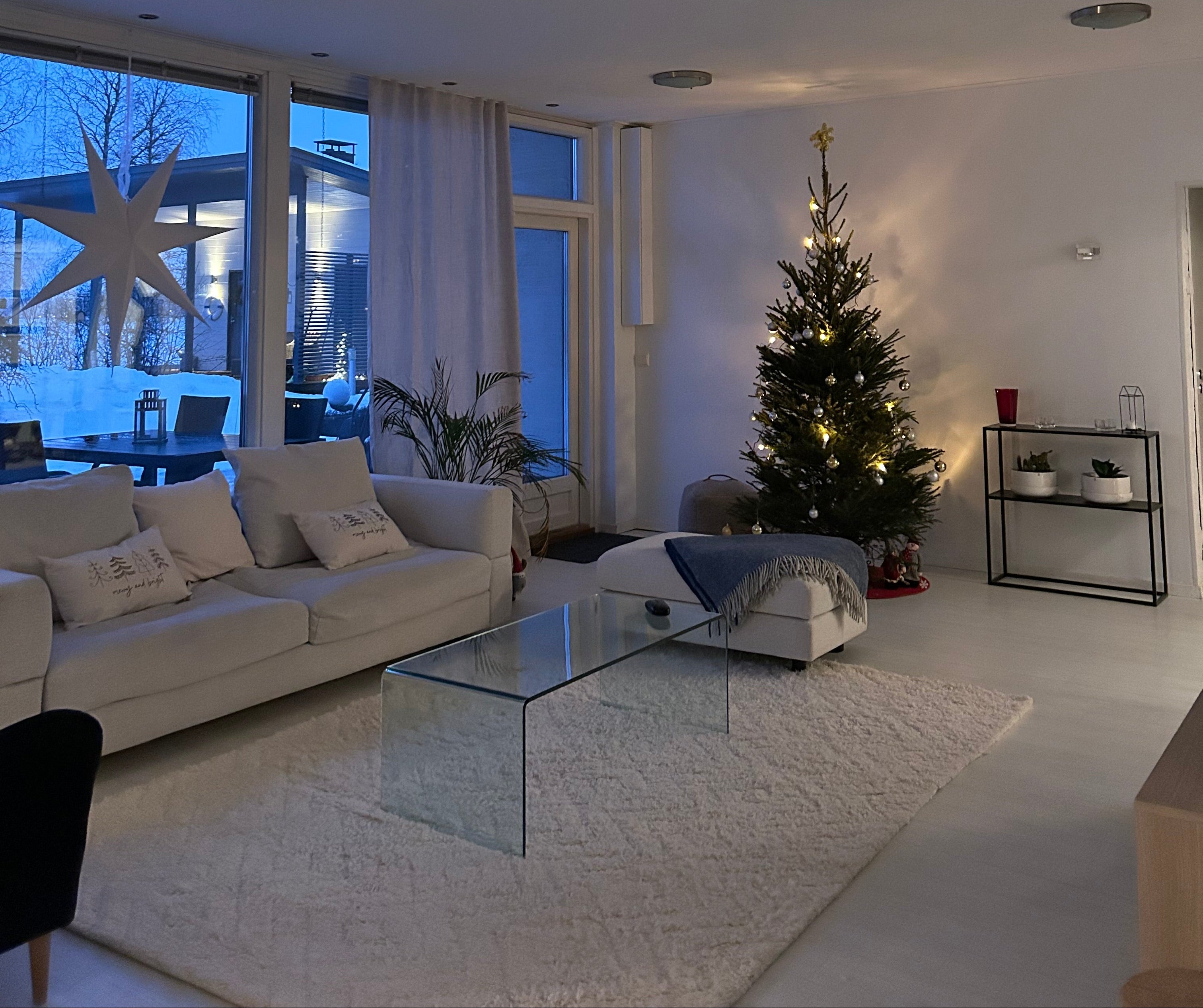 Living room with a Christmas tree and white sofa
