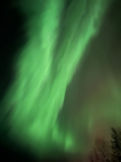 Aurora Hunting
