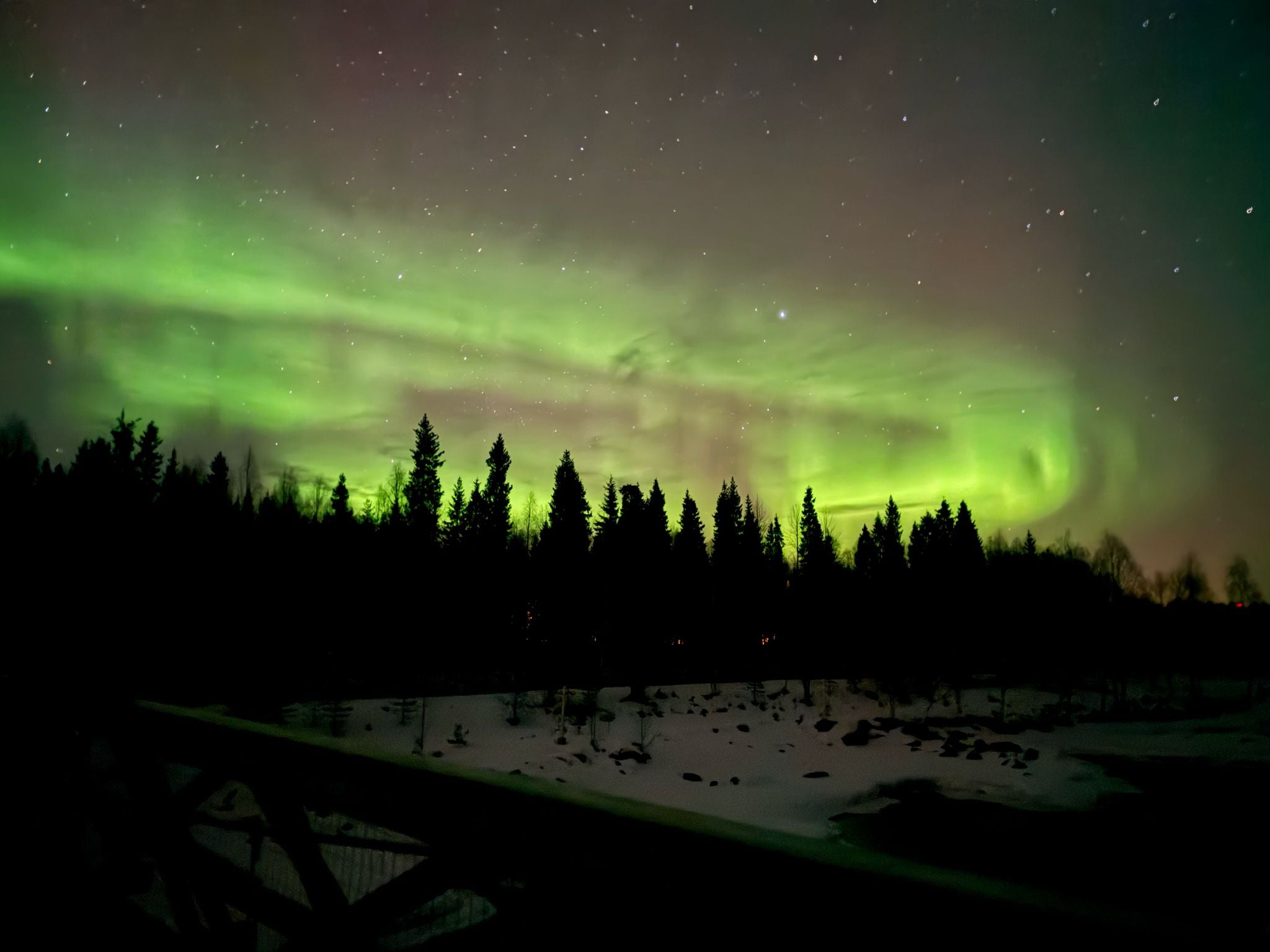 Aurora borealis over a forest at night in Lapland